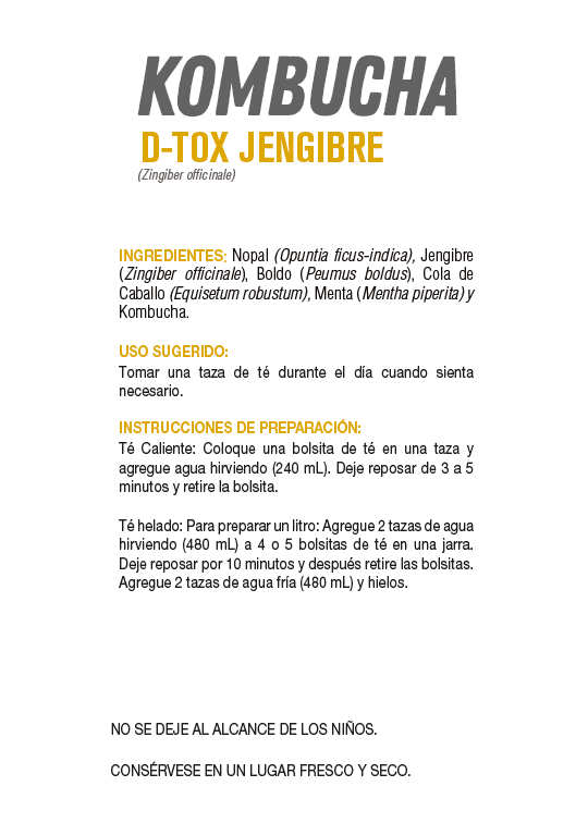 Kombucha Dtox Jengibre 20 Bolsitas de Té