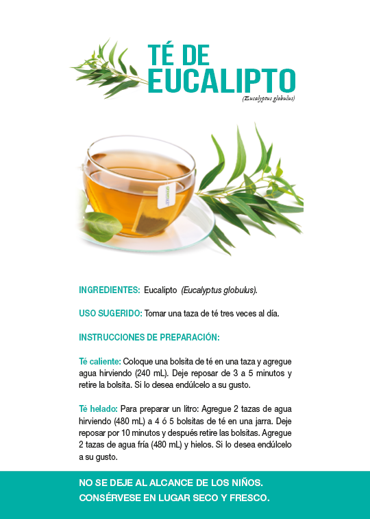 Té de Eucalipto 20 Bolsitas